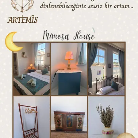 Frühstückspension Mimosa House