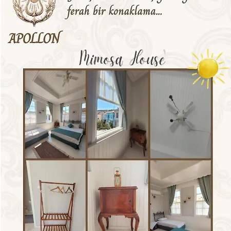 Frühstückspension Mimosa House Ayvalı