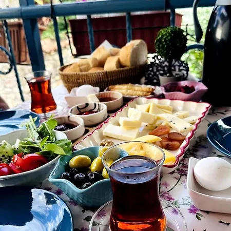 Mimosa House Ayvalı