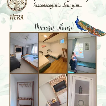 Mimosa House Ayvalı