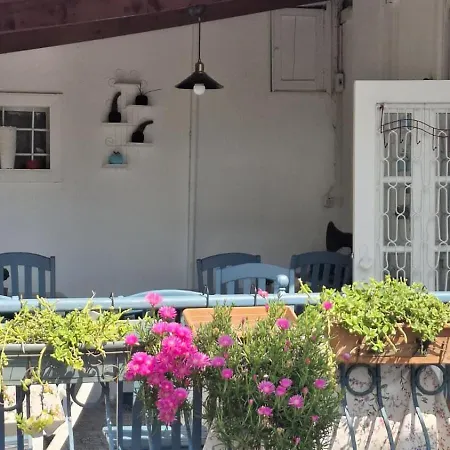 Mimosa House Ayvalı