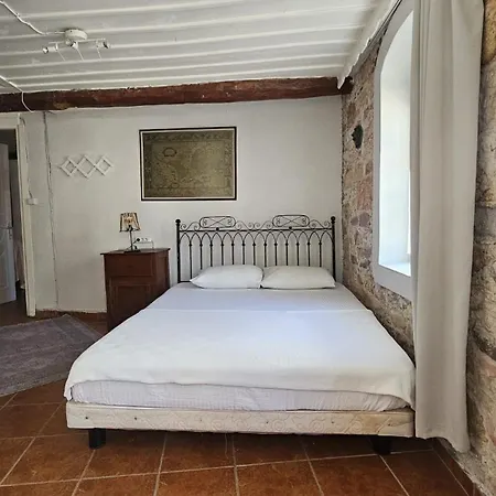 Bed and Breakfast Mimosa House *