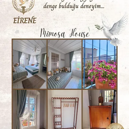 Bed and Breakfast Mimosa House