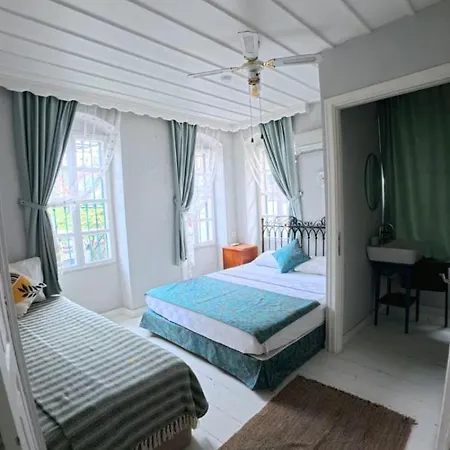 Bed and Breakfast Mimosa House Ayvalı