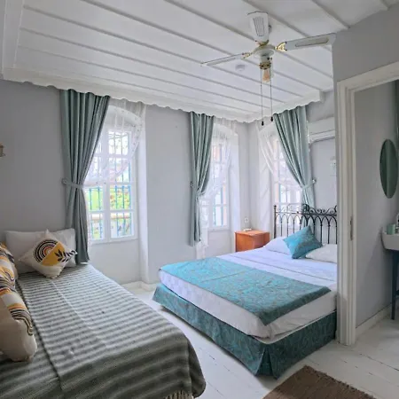 Mimosa House Ayvalı