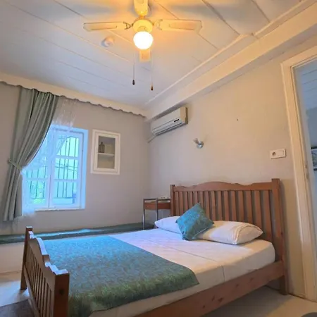 Mimosa House Ayvalı